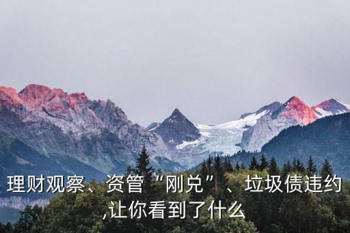 理財觀察、資管“剛兌”、垃圾債違約,讓你看到了什么