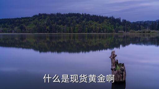 什么是現貨黃金啊