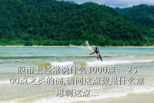 股市上經(jīng)常說什么3000點、 2500點之類的詞,請問這點數(shù)是什么意思啊這點...