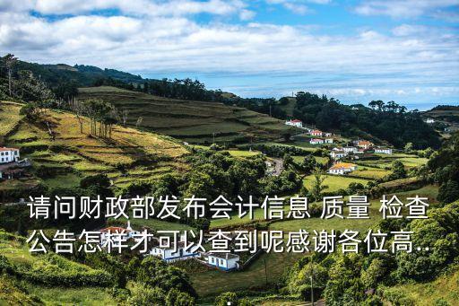 北京市注冊會計師執(zhí)業(yè)質量檢查,注冊會計師執(zhí)業(yè)質量涉及的責任有哪些