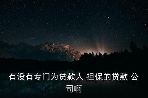 2A級擔保公司,擔保公司業(yè)務(wù)范圍