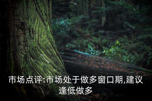 市場點評:市場處于做多窗口期,建議逢低做多
