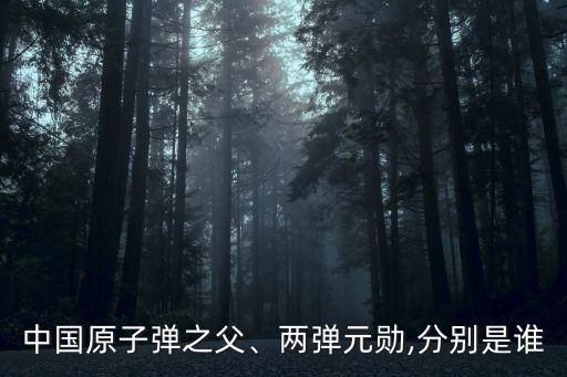 中國原子彈之父、兩彈元?jiǎng)?分別是誰