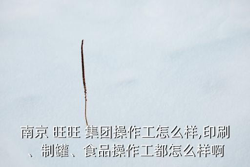 南京 旺旺 集團(tuán)操作工怎么樣,印刷、制罐、食品操作工都怎么樣啊