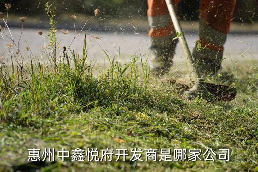 惠州中鑫悅府開(kāi)發(fā)商是哪家公司