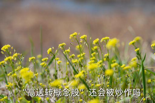 “高送轉概念股”還會被炒作嗎