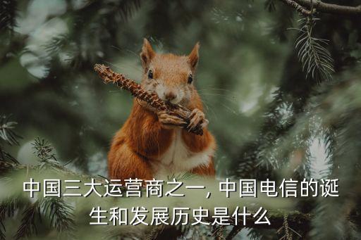 中國三大運(yùn)營(yíng)商之一, 中國電信的誕生和發(fā)展歷史是什么