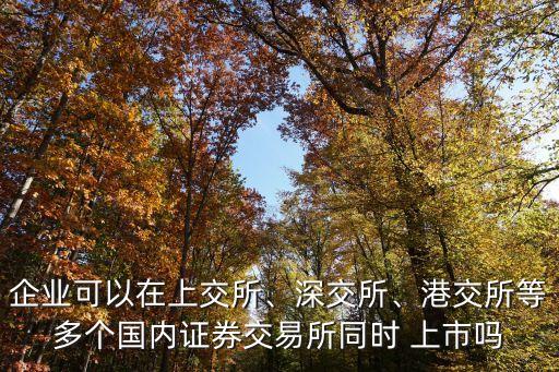 企業(yè)可以在上交所、深交所、港交所等多個國內(nèi)證券交易所同時 上市嗎