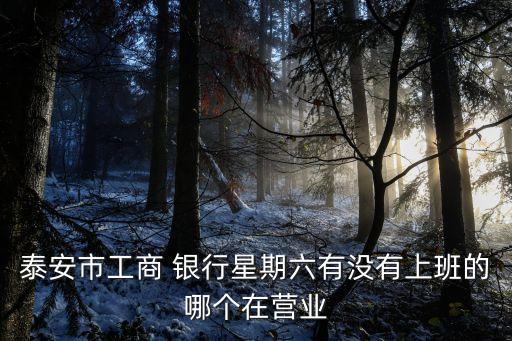 泰安市工商 銀行星期六有沒有上班的哪個(gè)在營業(yè)