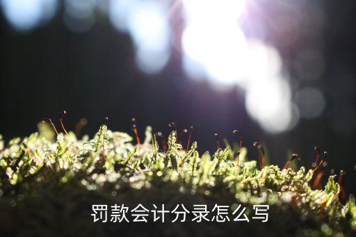  罰款會(huì)計(jì)分錄怎么寫