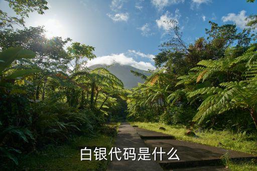  白銀代碼是什么