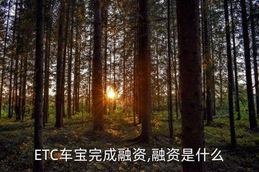 etc是什么投資模式,ETC的全稱(chēng)是什么