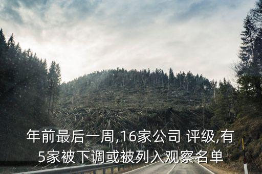 江蘇國信集團(tuán)信用評級報告,紅豆集團(tuán)信用評級報告2023