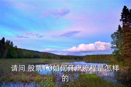 請(qǐng)問(wèn) 股票T 0如何開戶流程是怎樣的
