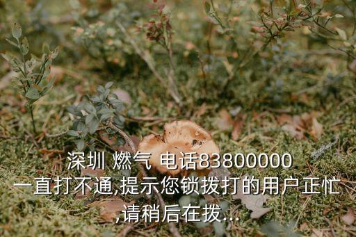 肥西深圳燃氣公司電話