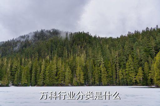 萬(wàn)科行業(yè)分類是什么