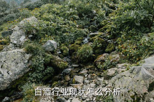  白酒行業(yè)現狀怎么分析