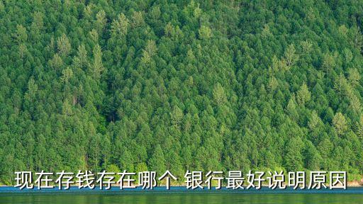 現(xiàn)在存錢存在哪個(gè) 銀行最好說明原因