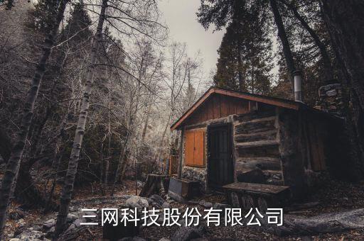浙江三網科技股份有限公司