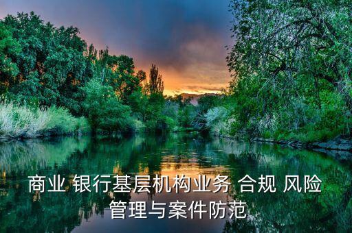 商業(yè) 銀行基層機(jī)構(gòu)業(yè)務(wù) 合規(guī) 風(fēng)險 管理與案件防范