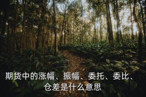 期貨中的漲幅、振幅、委托、委比、 倉差是什么意思