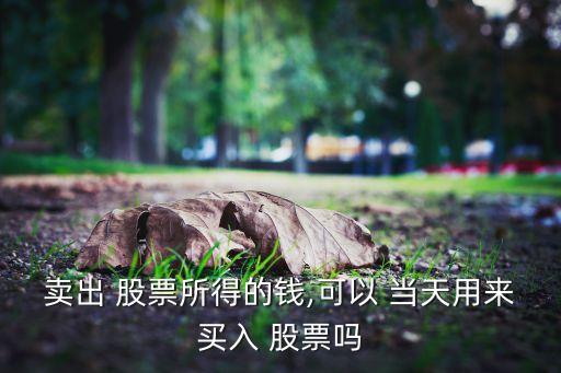 賣(mài)出 股票所得的錢(qián),可以 當(dāng)天用來(lái)買(mǎi)入 股票嗎