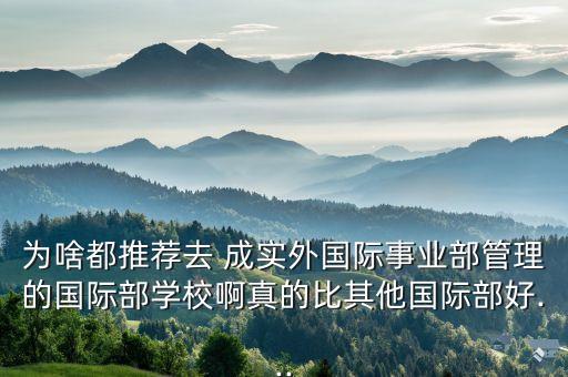 為啥都推薦去 成實外國際事業(yè)部管理的國際部學校啊真的比其他國際部好...