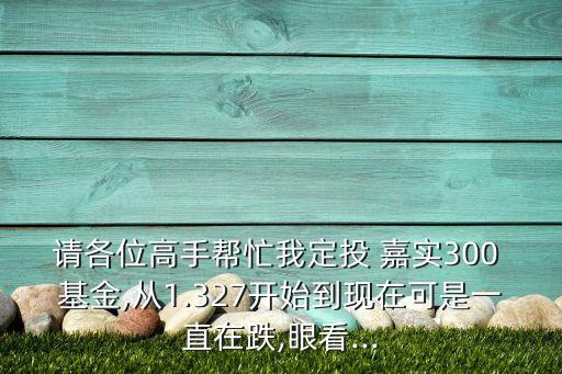 嘉實(shí)基金我沒(méi)有開