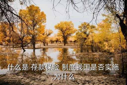 什么是 存款保險 制度我國是否實(shí)施,為什么