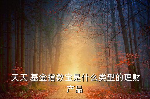  天天 基金指數(shù)寶是什么類型的理財產品