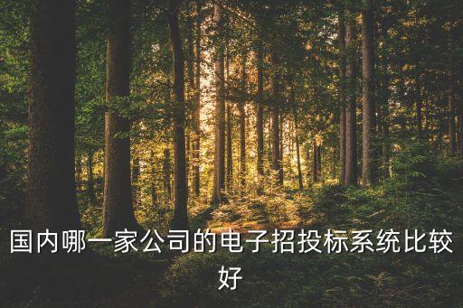 萬達集團網上招標管理系統(tǒng)