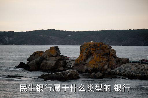  民生銀行屬于什么類(lèi)型的 銀行