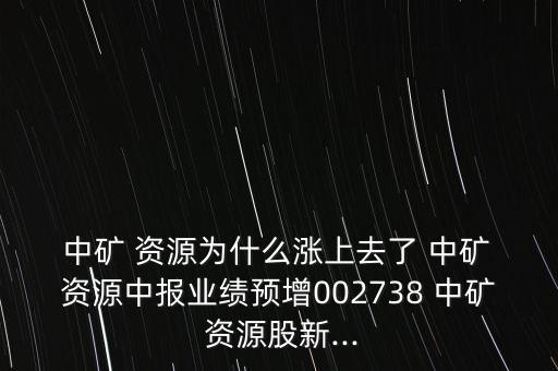  中礦 資源為什么漲上去了 中礦 資源中報業(yè)績預增002738 中礦 資源股新...