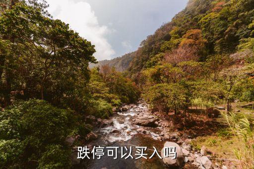 跌?？梢再I入嗎