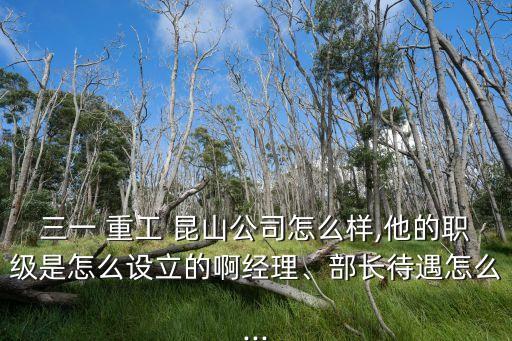 三一 重工 昆山公司怎么樣,他的職級是怎么設(shè)立的啊經(jīng)理、部長待遇怎么...