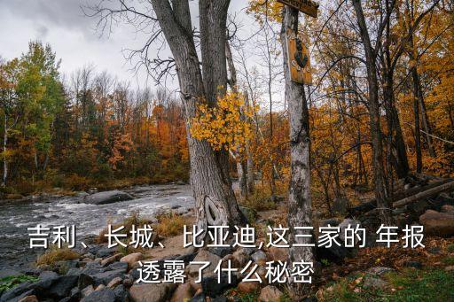 吉利、長城、比亞迪,這三家的 年報透露了什么秘密
