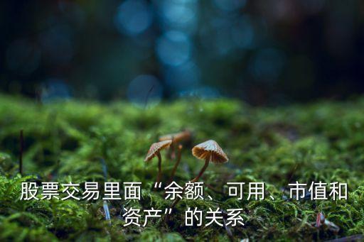  股票交易里面“余額、可用、市值和 資產(chǎn)”的關(guān)系