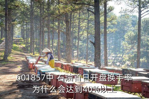601857中 石油首日開(kāi)盤(pán)換手率為什么會(huì)達(dá)到40%以上