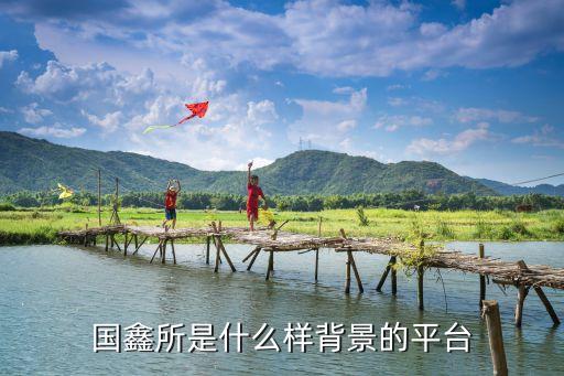 保利協(xié)鑫財(cái)務(wù)咨詢(xún)有限公司,徐州保利協(xié)鑫能源控股有限公司