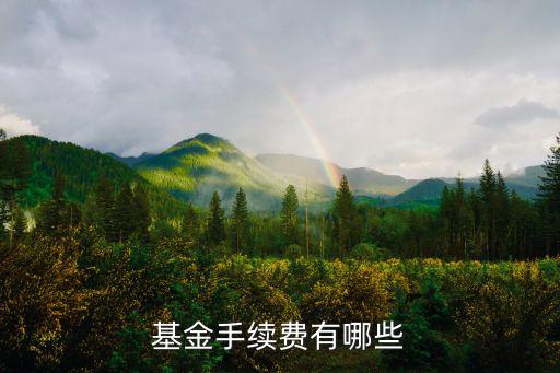 中國(guó)農(nóng)業(yè)銀行的貨幣基金最低認(rèn)購費(fèi)是多少