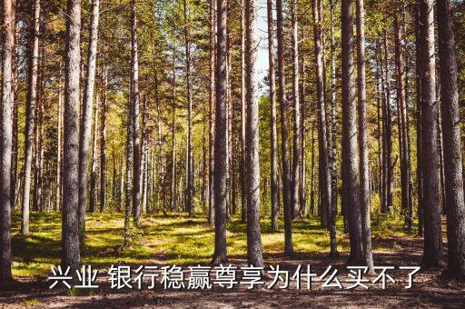  興業(yè) 銀行穩(wěn)贏尊享為什么買(mǎi)不了