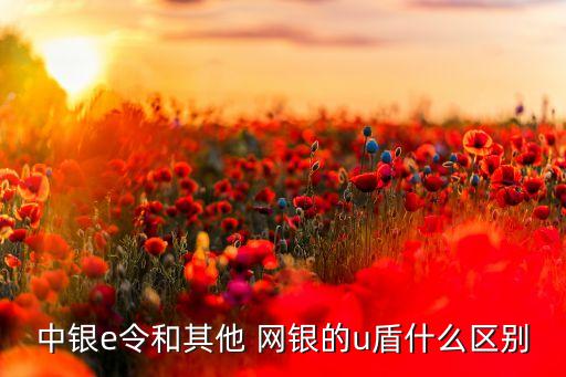 中國(guó)銀行網(wǎng)銀u盾