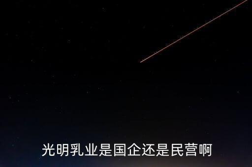 上海光明集團