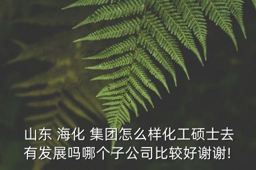  山東 ?；?集團怎么樣化工碩士去有發(fā)展嗎哪個子公司比較好謝謝!