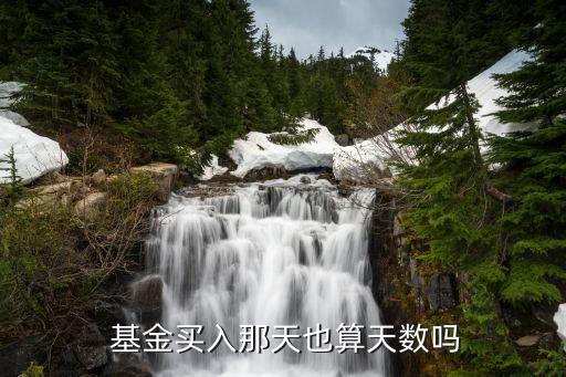  基金買(mǎi)入那天也算天數(shù)嗎