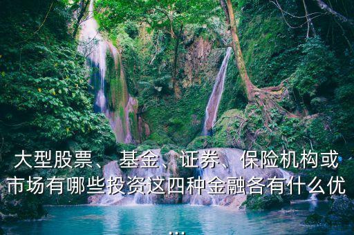 大型股票、 基金、證券、保險機構(gòu)或市場有哪些投資這四種金融各有什么優(yōu)...
