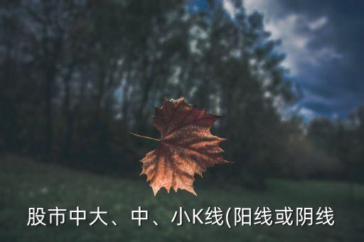 股市中大、中、小K線(陽線或陰線