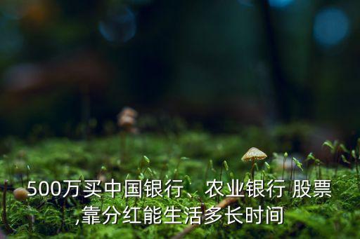 500萬買中國銀行、農(nóng)業(yè)銀行 股票,靠分紅能生活多長時(shí)間
