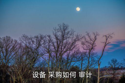 設(shè)備 采購(gòu)如何 審計(jì)