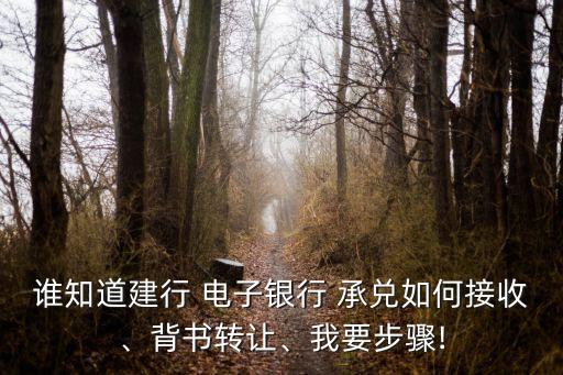 誰知道建行 電子銀行 承兌如何接收、背書轉(zhuǎn)讓、我要步驟!
